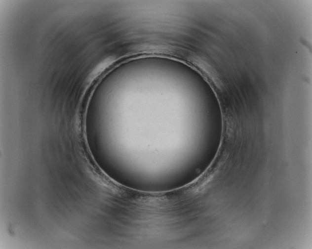 X0000098211074200804241315