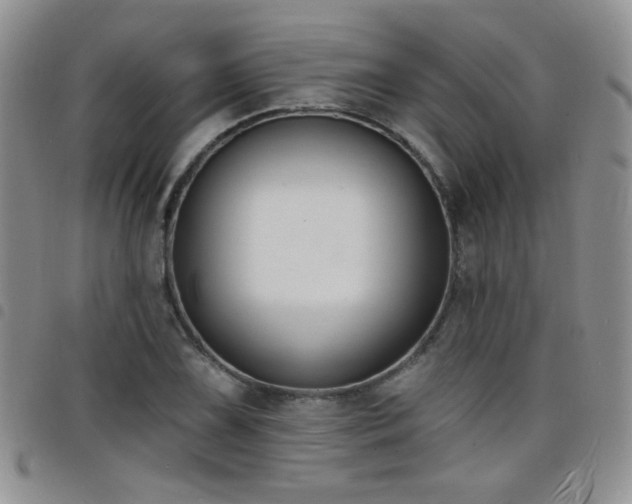 X0000098211075200804241315