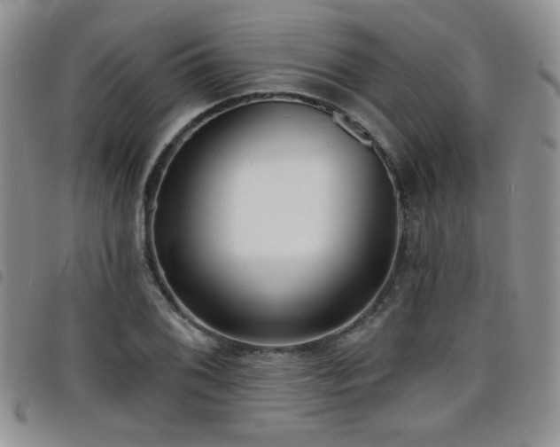 X0000098211076200804241315