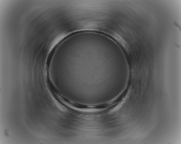 X0000098211077200804241315