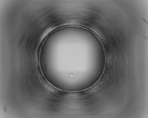 X0000098211078200804241315