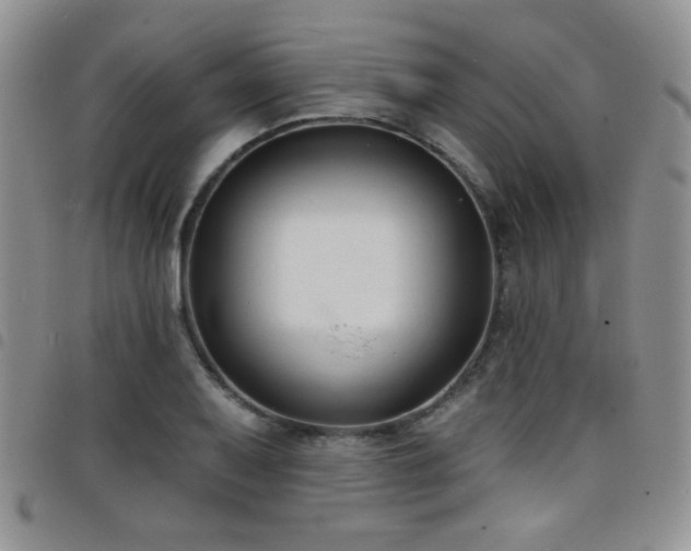 X0000098211079200804241315