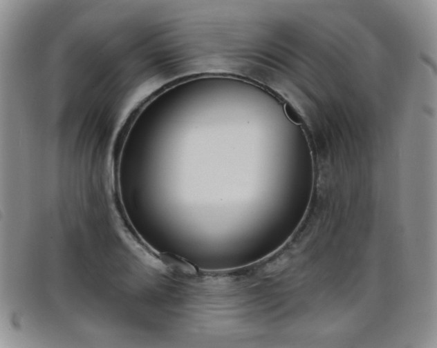 X0000098211080200804241315