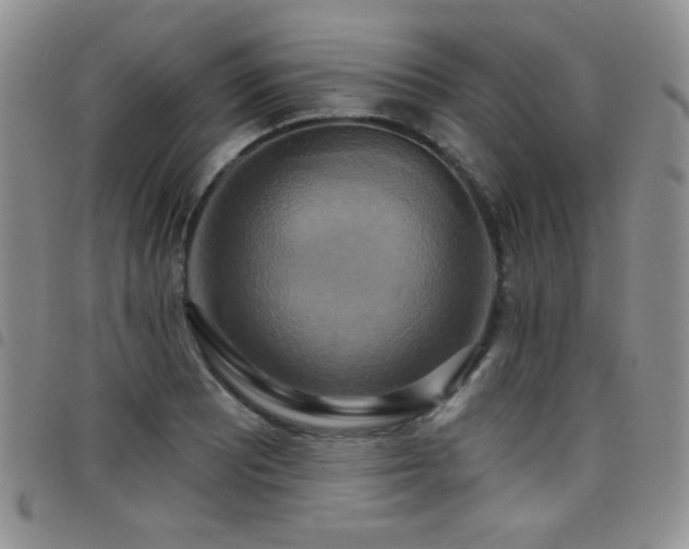 X0000098211081200804241315