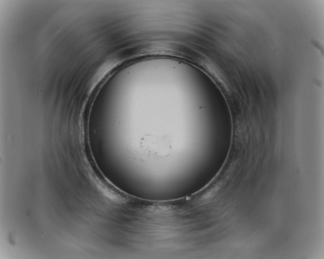 X0000098211082200804241315