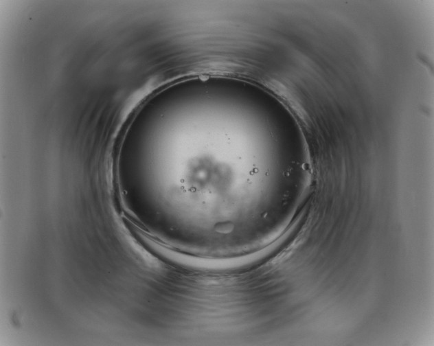 X0000098211083200804241315