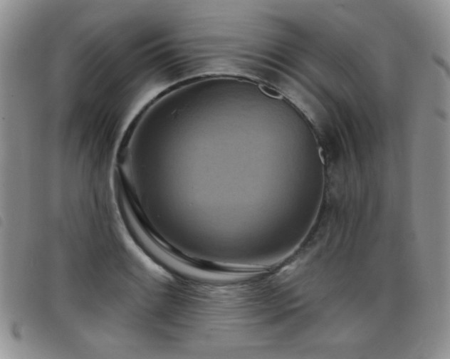 X0000098211084200804241315