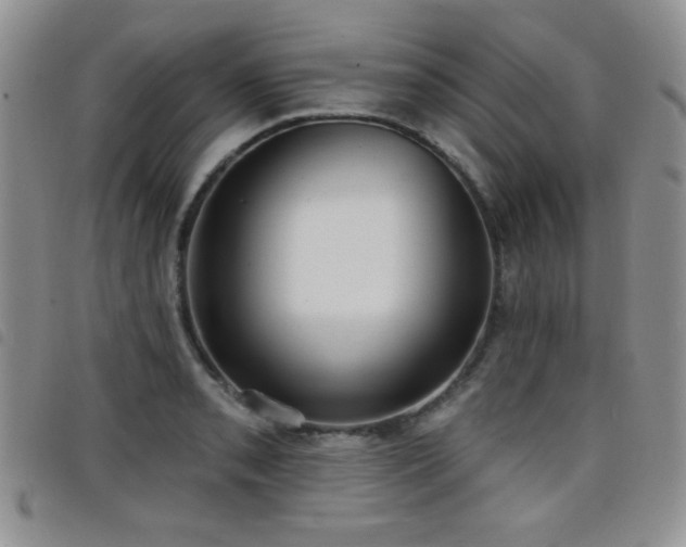 X0000098211085200804241315