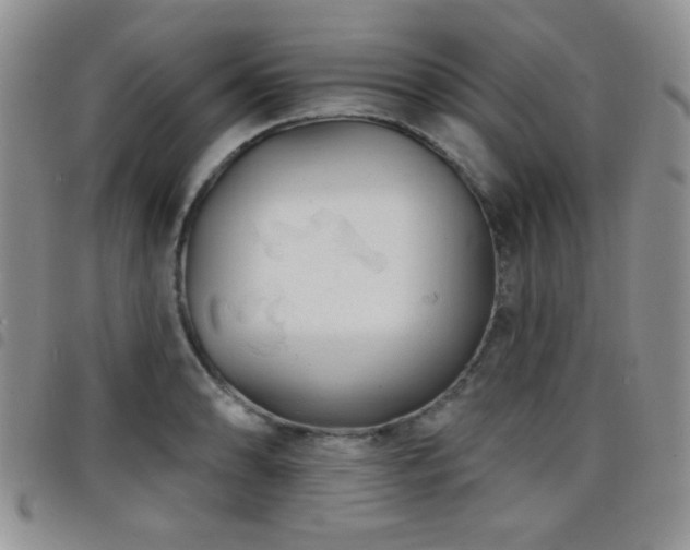 X0000098211086200804241315