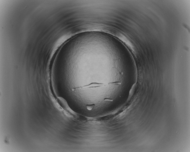 X0000098211088200804241315
