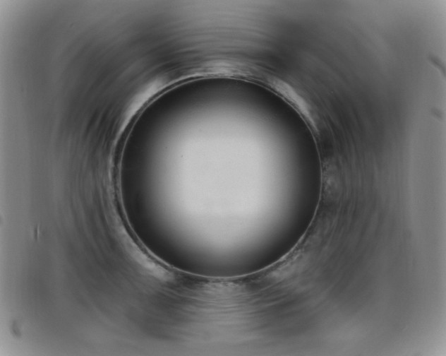 X0000098211091200804241315