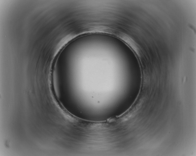 X0000098211093200804241315