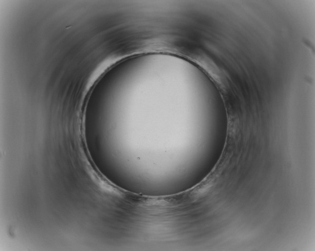X0000098211094200804241315