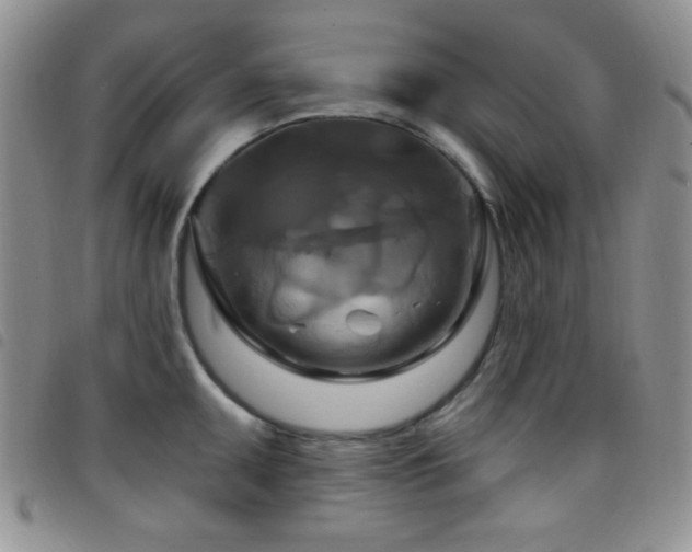 X0000098211095200804241315