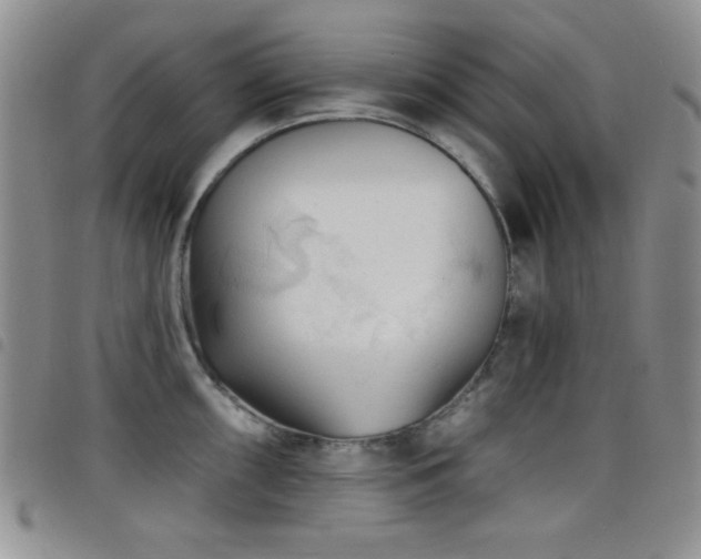 X0000098211098200804241315