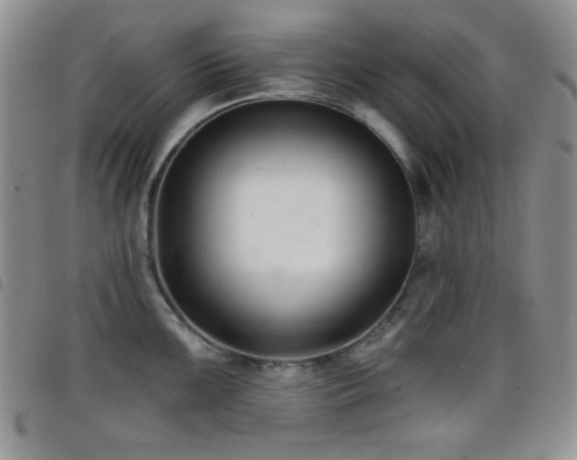 X0000098211099200804241315