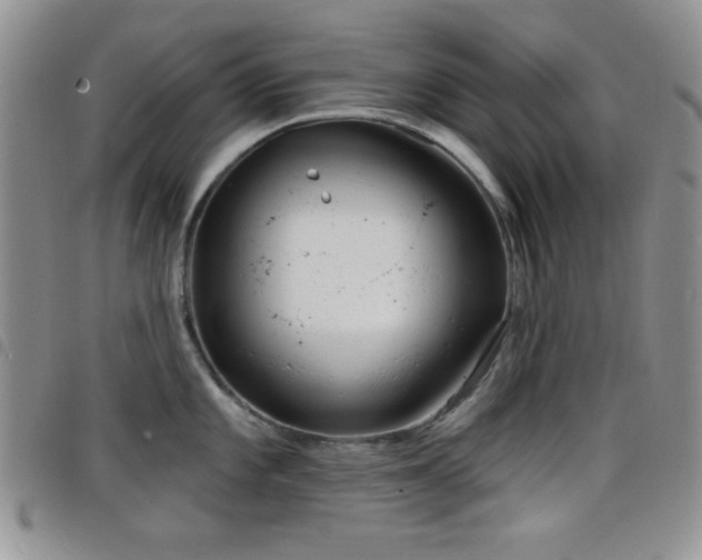 X0000098211101200804241315