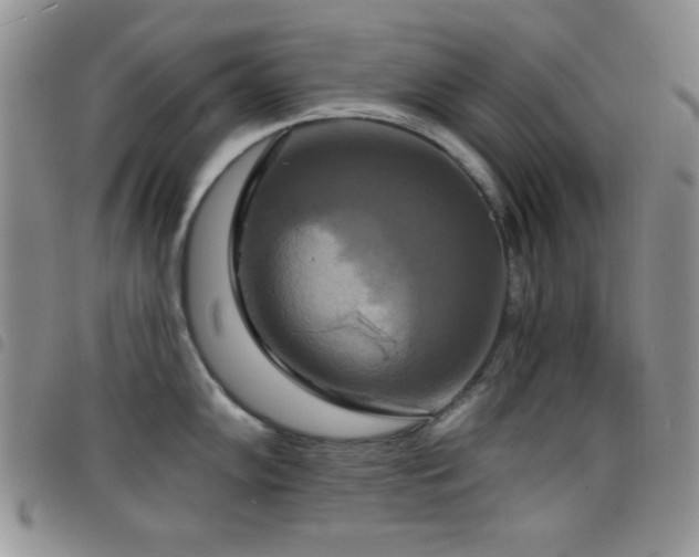 X0000098211102200804241315