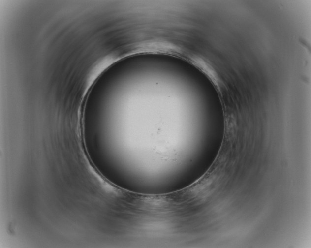 X0000098211103200804241315