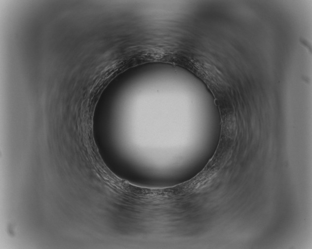 X0000098211105200804241314