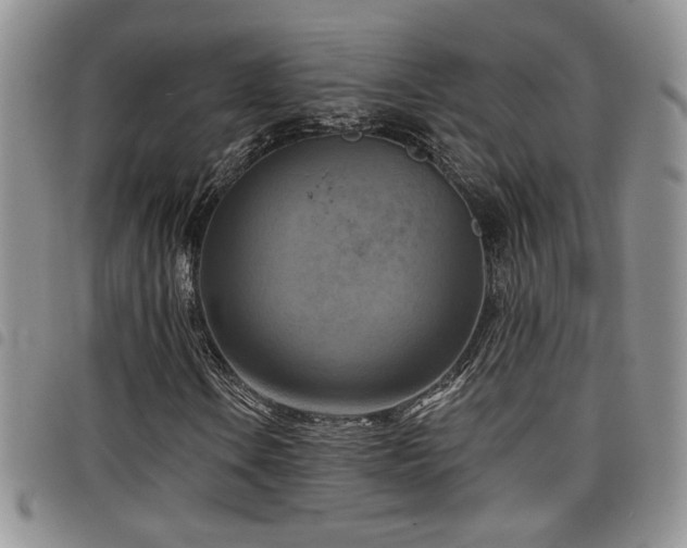 X0000098211106200804241314