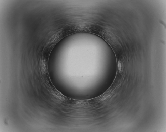 X0000098211107200804241314