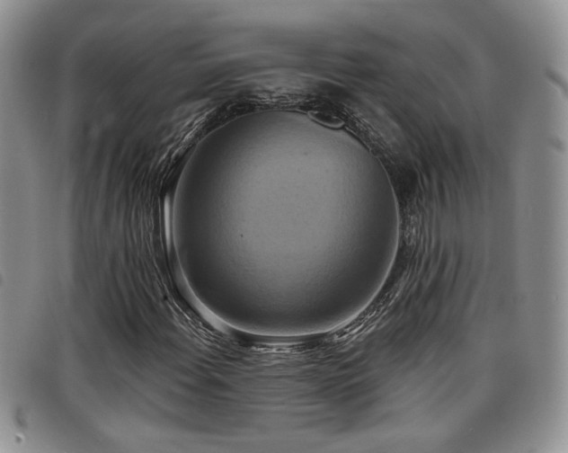 X0000098211108200804241314