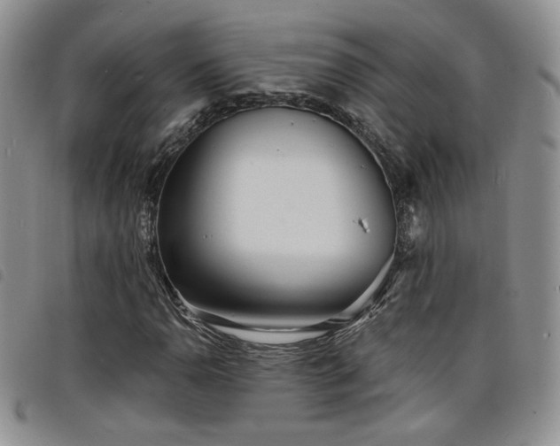 X0000098211110200804241314