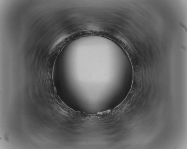 X0000098211112200804241314