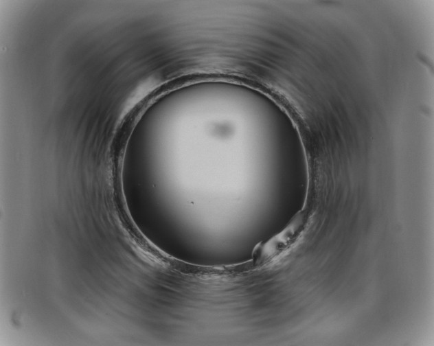 X0000098211114200804241314