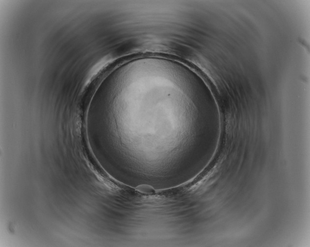 X0000098211115200804241314