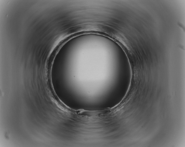 X0000098211116200804241314