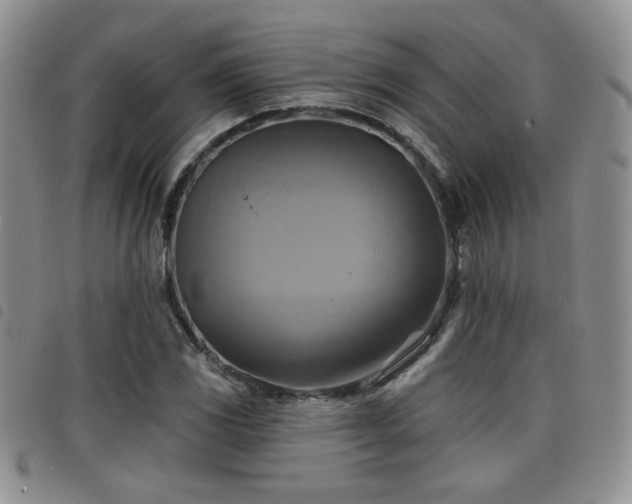 X0000098211117200804241314
