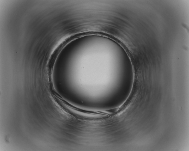 X0000098211118200804241314
