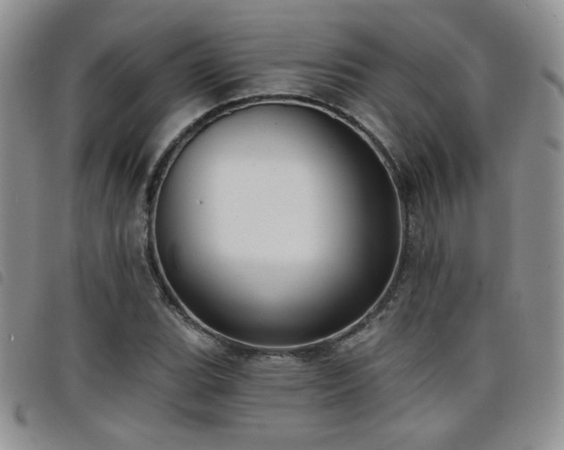 X0000098211119200804241314