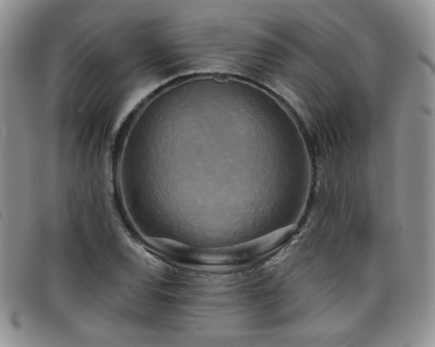 X0000098211120200804241315
