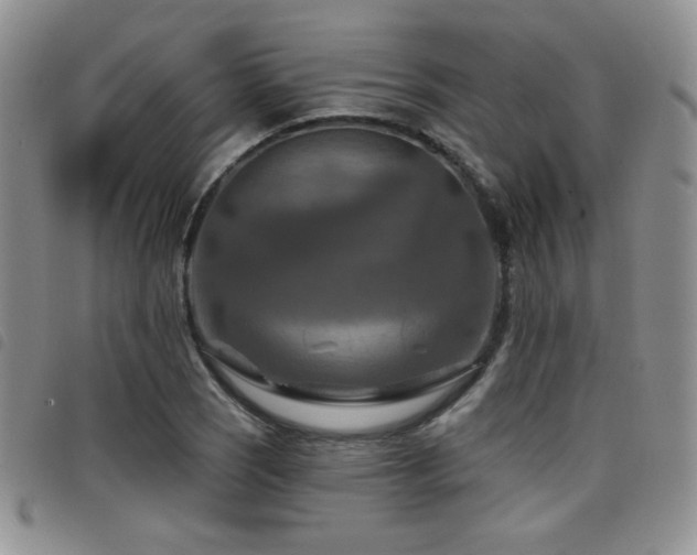 X0000098211121200804241315
