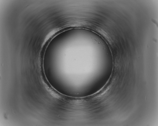 X0000098211122200804241315