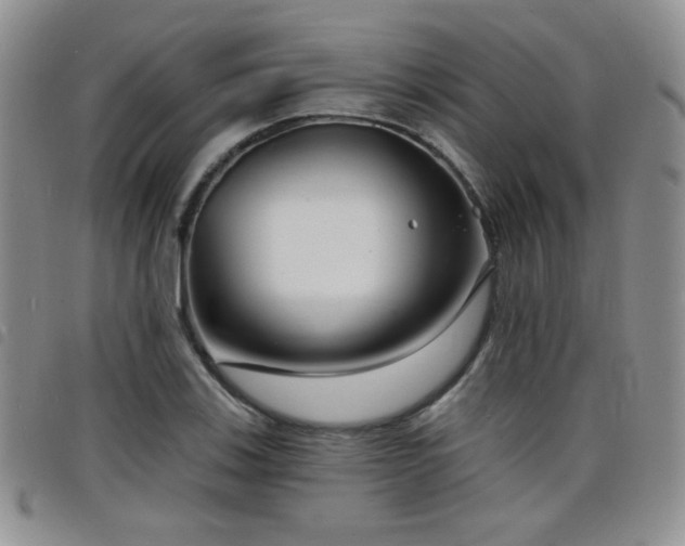 X0000098211123200804241315