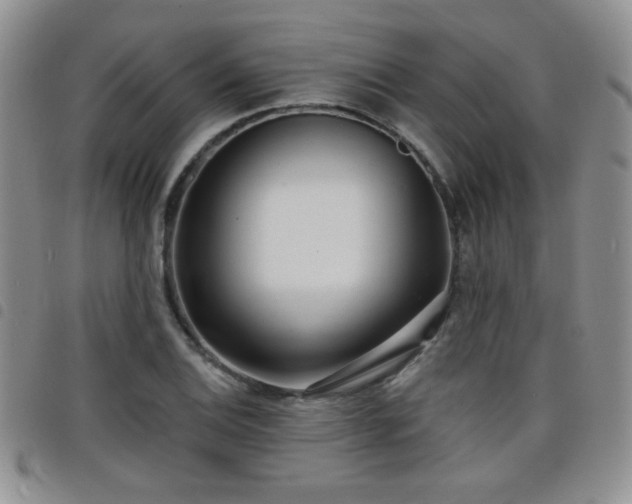 X0000098211124200804241315