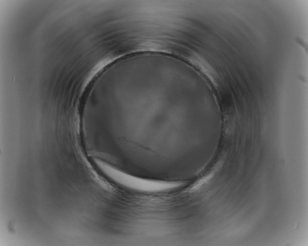X0000098211125200804241315