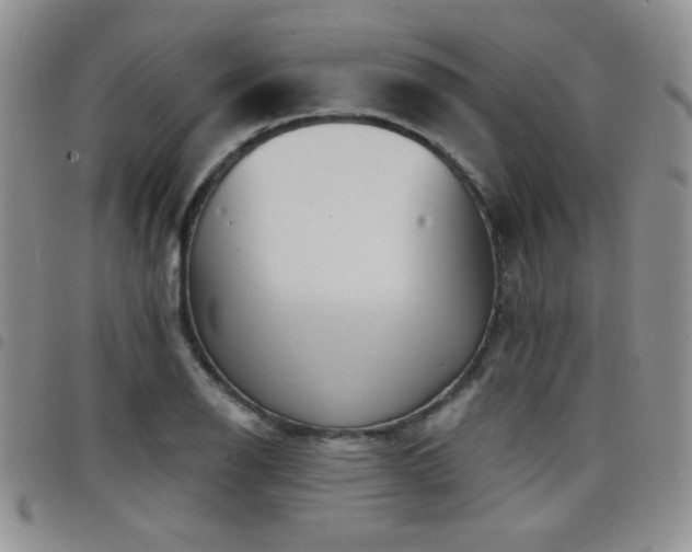 X0000098211126200804241315
