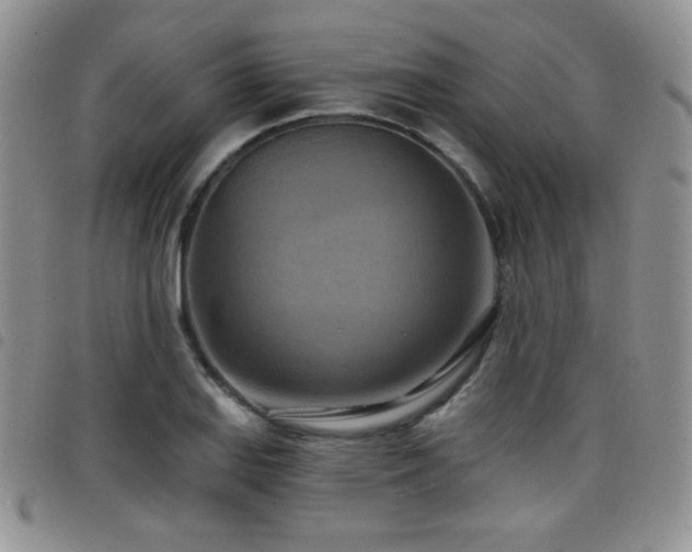 X0000098211127200804241315