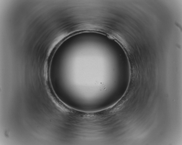 X0000098211128200804241315