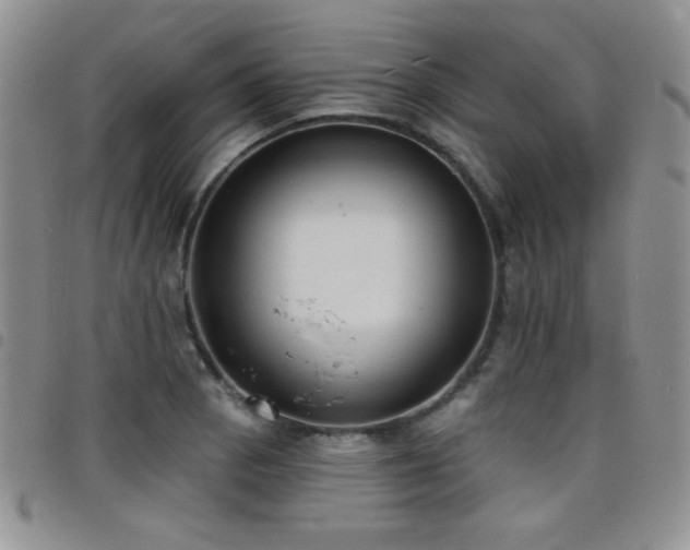 X0000098211129200804241315