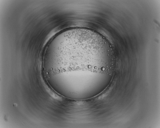 X0000098211130200804241315