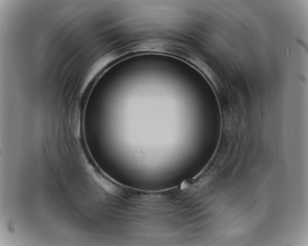 X0000098211131200804241315