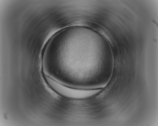 X0000098211132200804241315