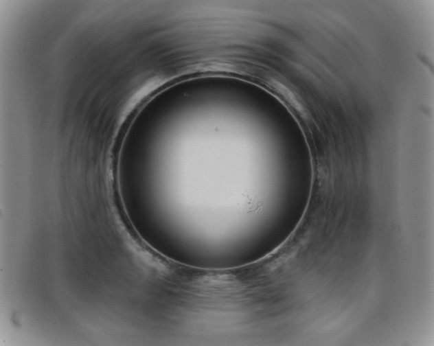 X0000098211133200804241315