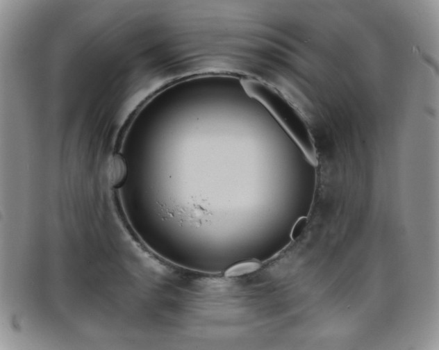 X0000098211134200804241315
